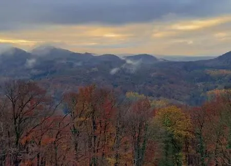 Apartmán Bachstelze Mit Privater Terrasse *