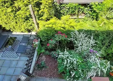 Bachstelze Mit Privater Terrasse