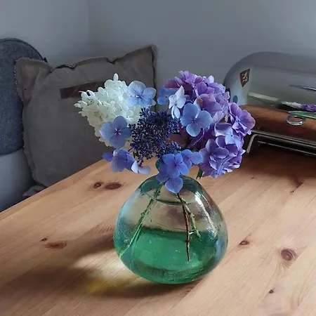 Bachstelze Mit Privater Terrasse Apartmán *