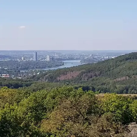 Bachstelze Mit Privater Terrasse Appartement Königswinter