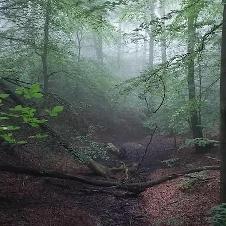 Bachstelze Mit Privater Terrasse Apartmán Königswinter