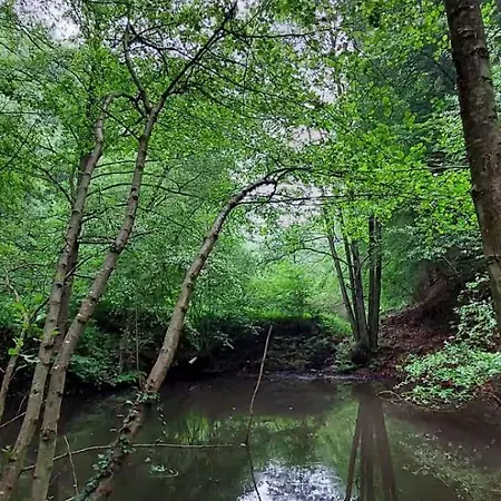 Bachstelze Mit Privater Terrasse Königswinter