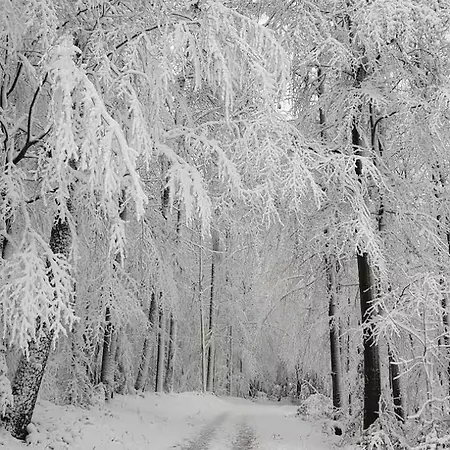 Bachstelze Mit Privater Terrasse * Königswinter