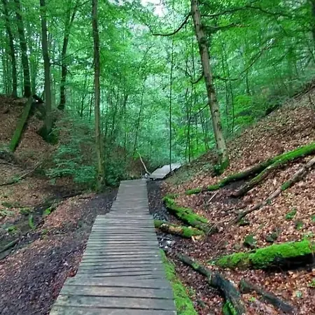 Bachstelze Mit Privater Terrasse * Königswinter