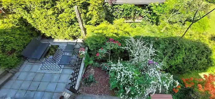 Bachstelze Mit Privater Terrasse