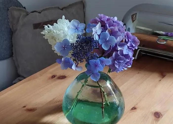 Bachstelze Mit Privater Terrasse Apartamento *