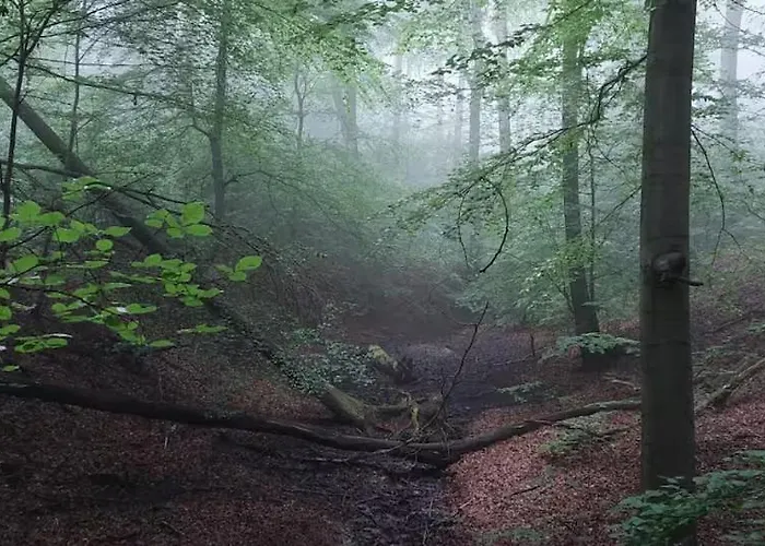 Bachstelze Mit Privater Terrasse Apartamento Königswinter
