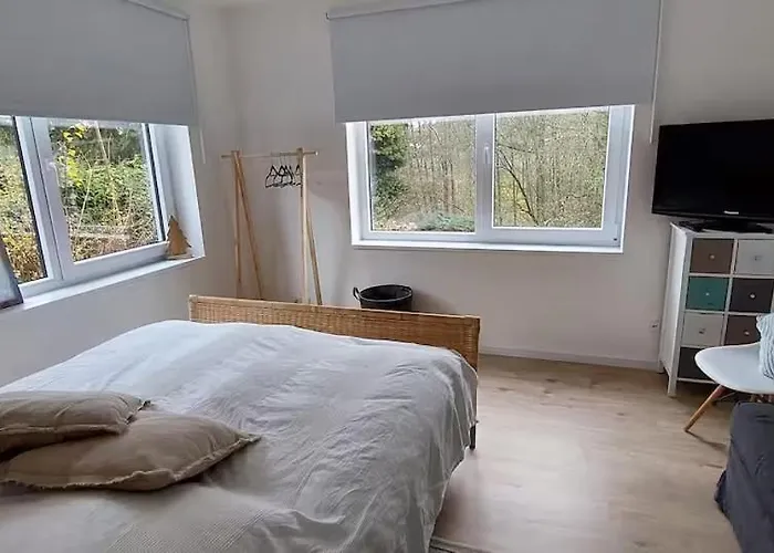 Bachstelze Mit Privater Terrasse Königswinter