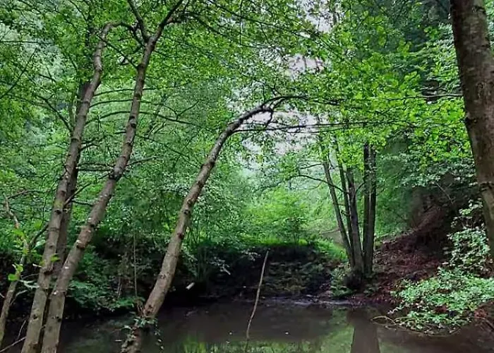 Bachstelze Mit Privater Terrasse Königswinter