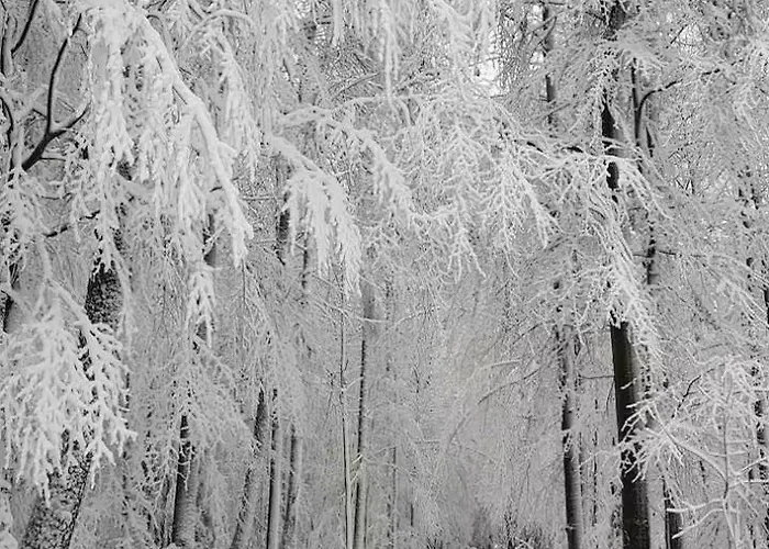 Bachstelze Mit Privater Terrasse * Königswinter