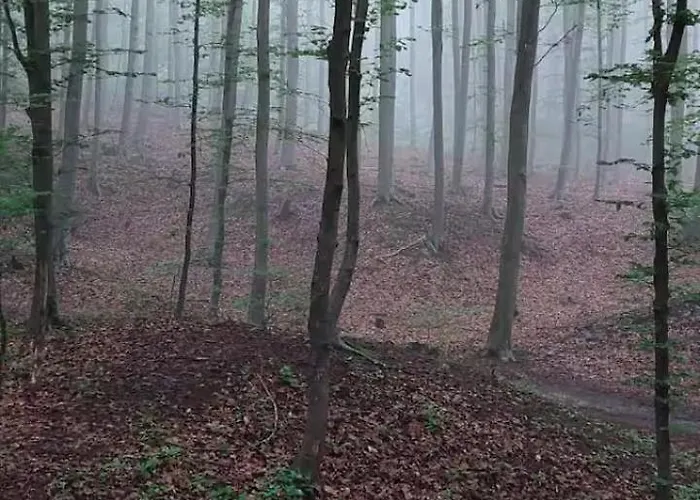 Bachstelze Mit Privater Terrasse * Königswinter