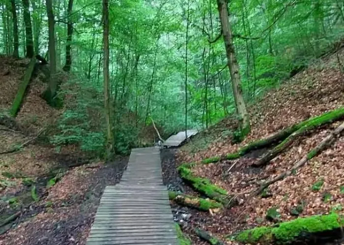 Bachstelze Mit Privater Terrasse * Königswinter